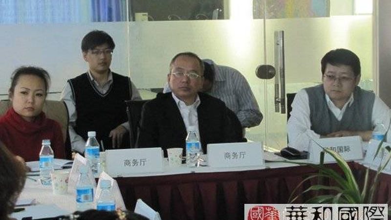 可行性研究报告技术参数表格：关键要素解析